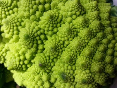 Chou romanesco