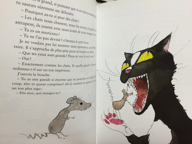Mitsou Le Chat Vegetalien Un Conte Sur La Tolerance Et Le Respect 7detable Com Mitsou Le Chat Vegetalien Un Conte Sur La Tolerance Et Le Respect 7detable Com