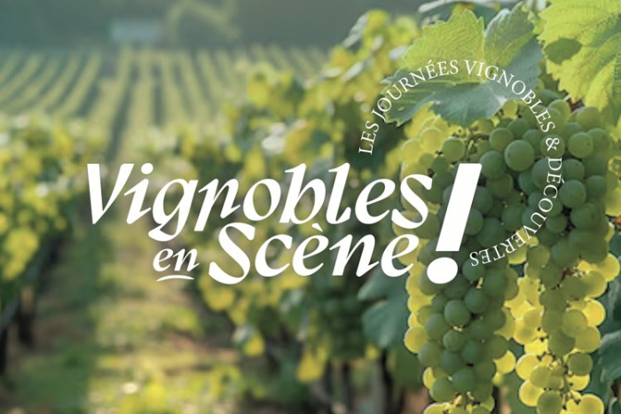 Vignobles en Scène, la France viticole se met en avant